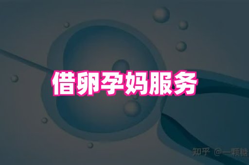 武汉助孕网站 1