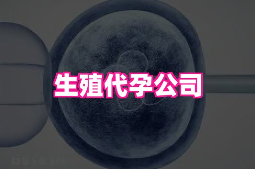 武汉助孕网站 2